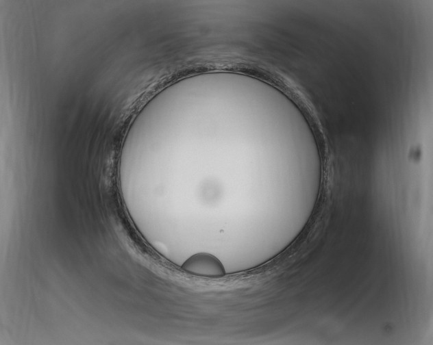 X0000116370018200912021020