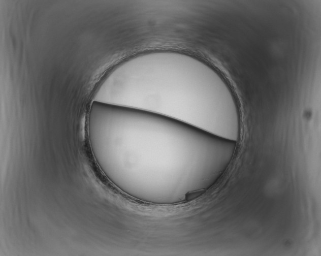 X0000116370019200912021020