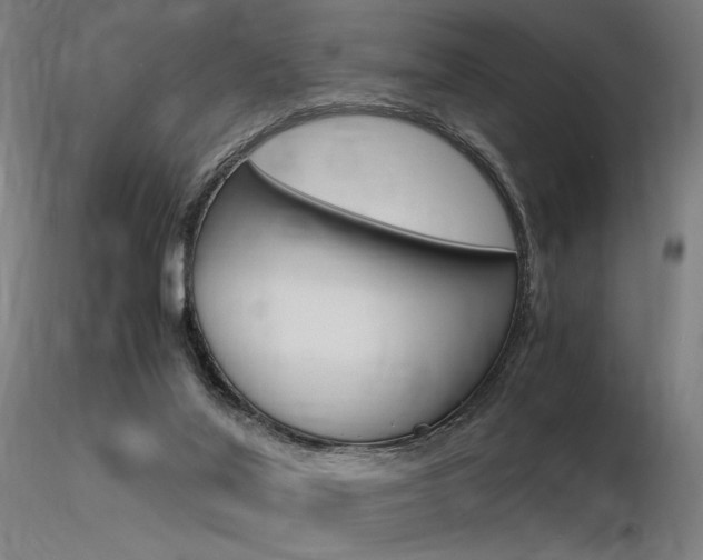 X0000116370020200912021020