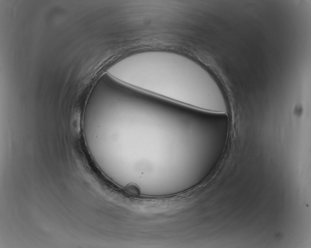 X0000116370021200912021020