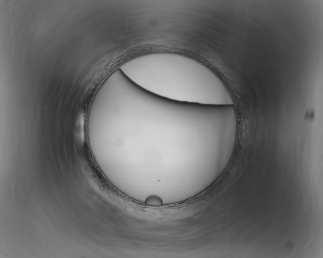 X0000116370022200912021020