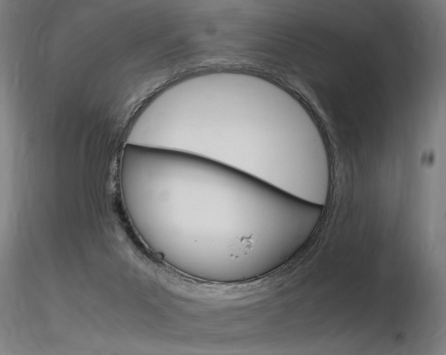 X0000116370023200912021020