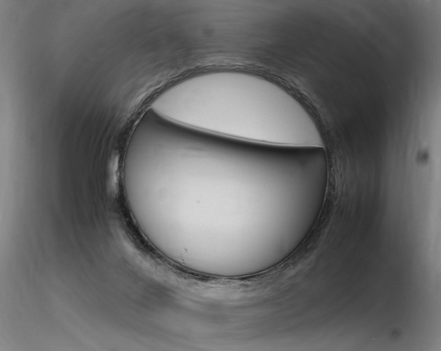 X0000116370024200912021020