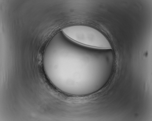 X0000116370025200912021020