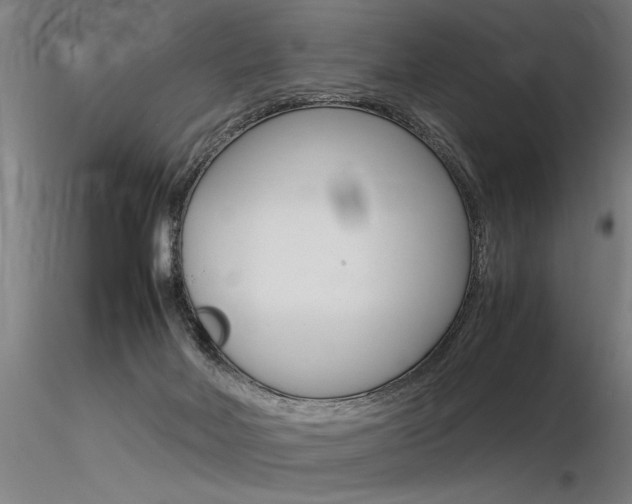X0000116370026200912021020