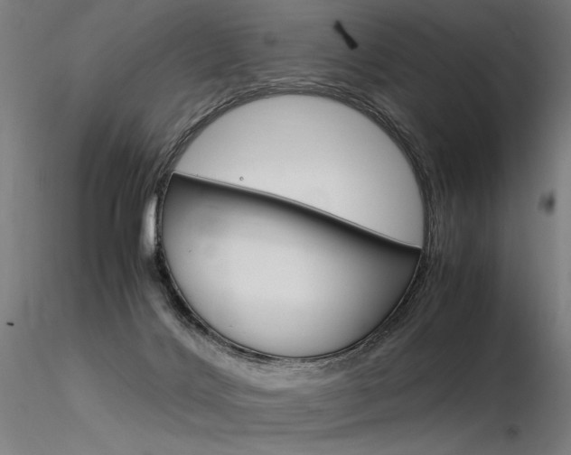 X0000116370028200912021020