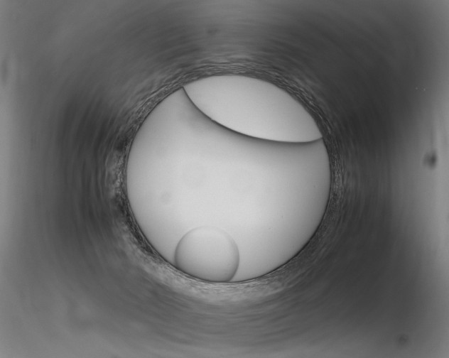 X0000116370030200912021020
