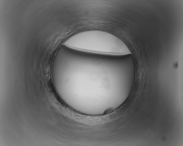 X0000116370031200912021020