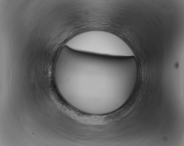 X0000116370032200912021020