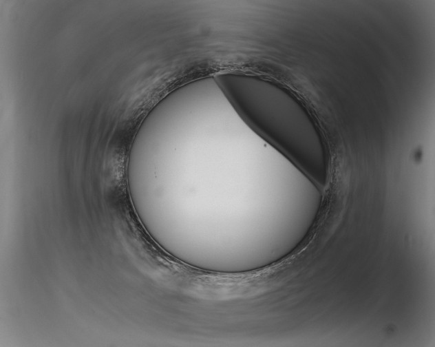 X0000116370033200912021020