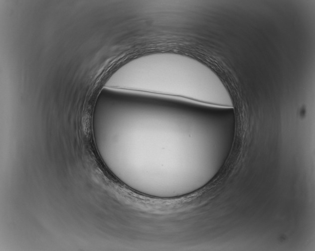 X0000116370035200912021020