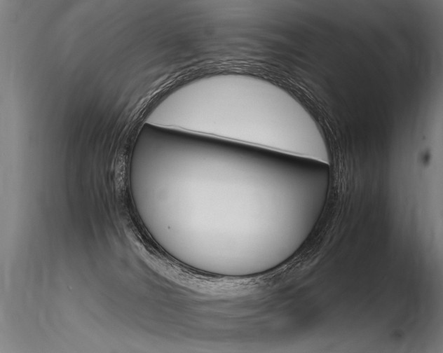 X0000116370036200912021020