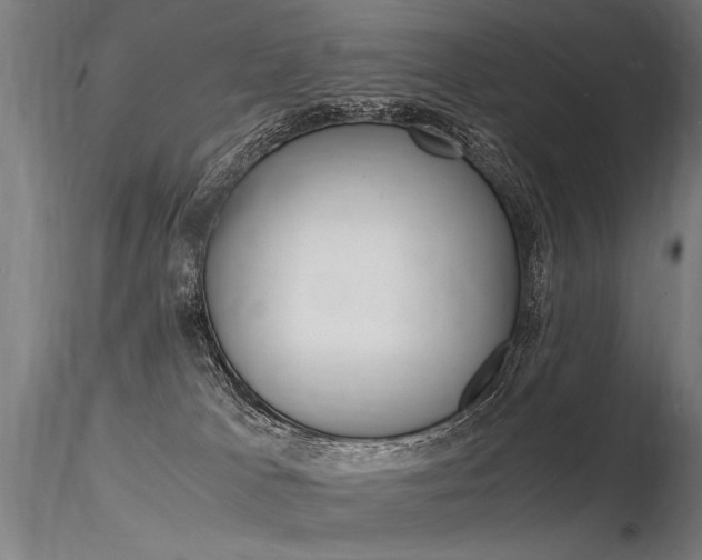 X0000116370037200912021020
