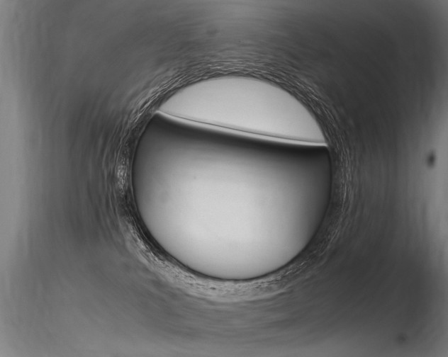 X0000116370039200912021020
