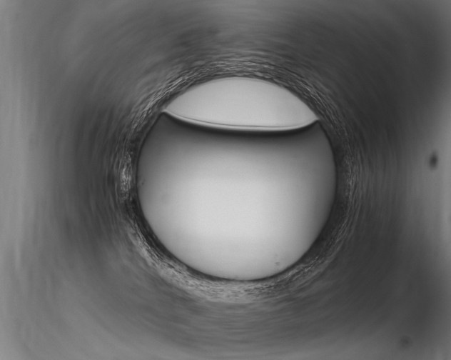 X0000116370040200912021020