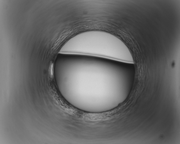 X0000116370041200912021020