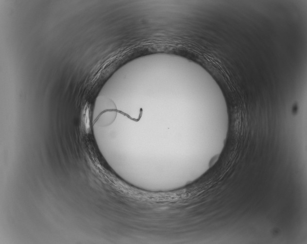 X0000116370042200912021020