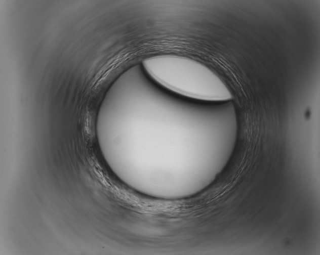 X0000116370044200912021020