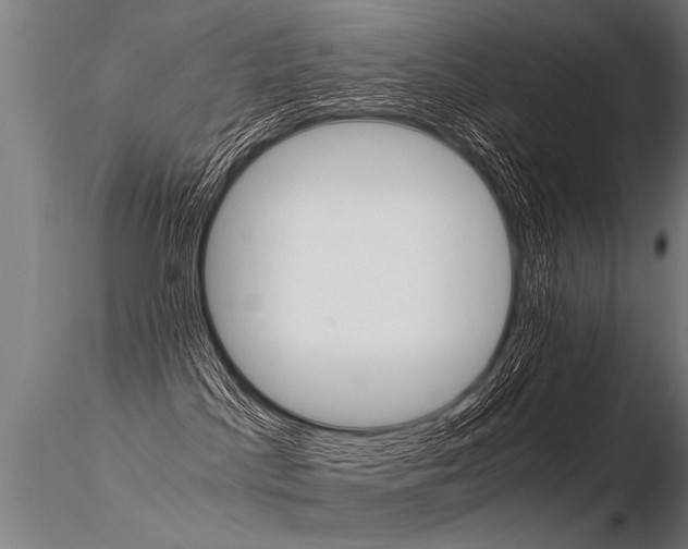 X0000116370045200912021020