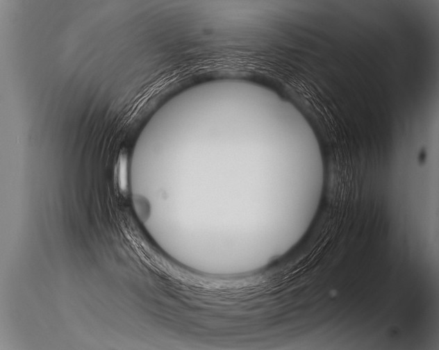 X0000116370046200912021020