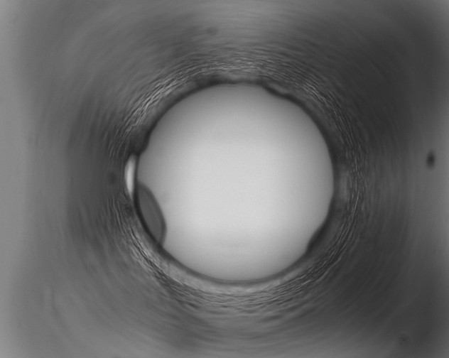 X0000116370047200912021020