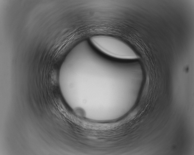 X0000116370048200912021020