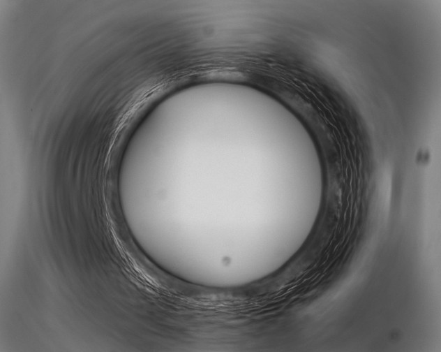 X0000116370049200912021019