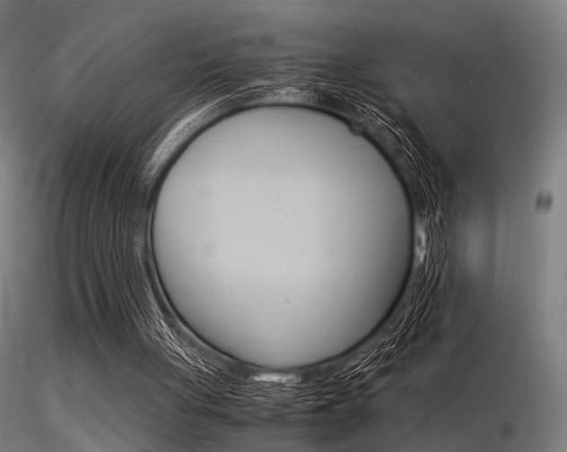 X0000116370051200912021019