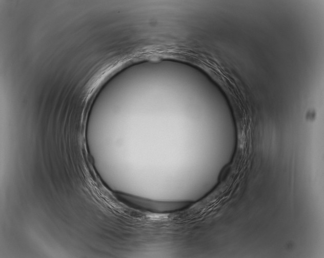 X0000116370052200912021019