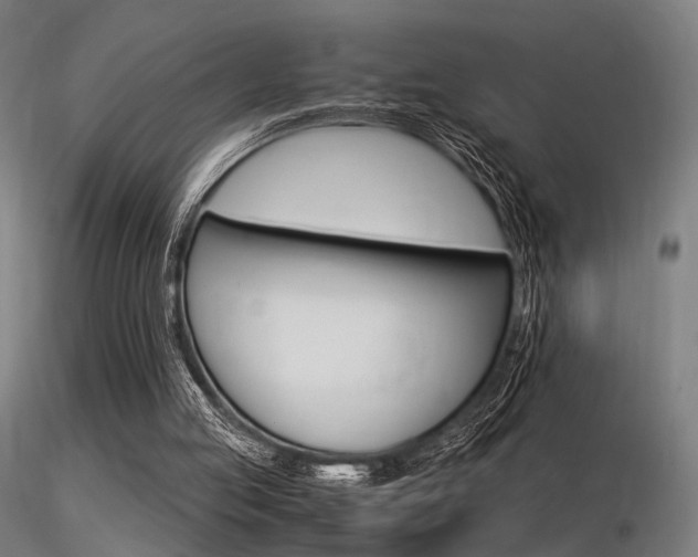 X0000116370053200912021019