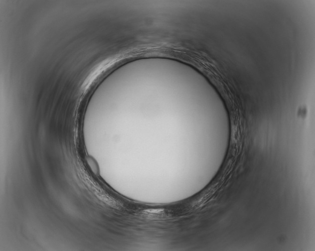 X0000116370054200912021019