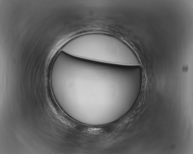 X0000116370055200912021019