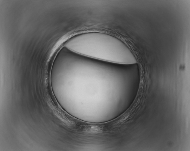 X0000116370056200912021019