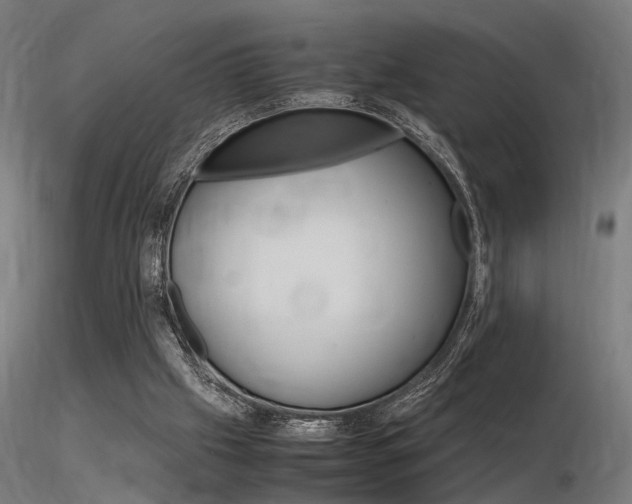 X0000116370057200912021019