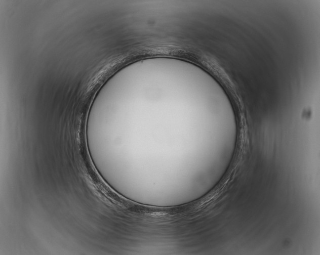 X0000116370058200912021019