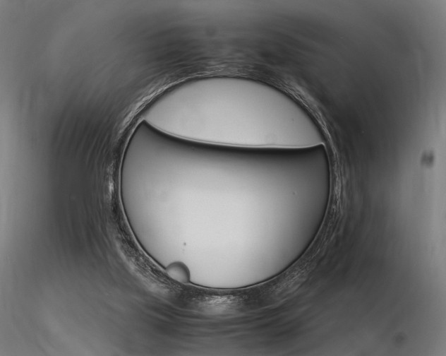 X0000116370059200912021019