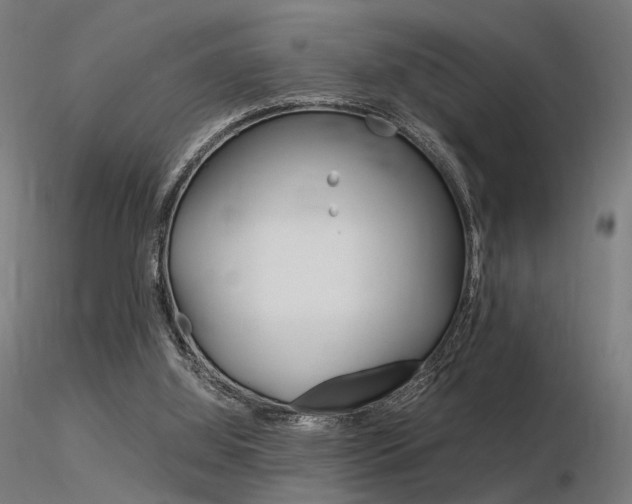 X0000116370060200912021019