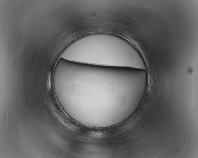X0000116370061200912021019