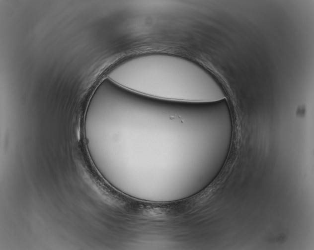 X0000116370062200912021019