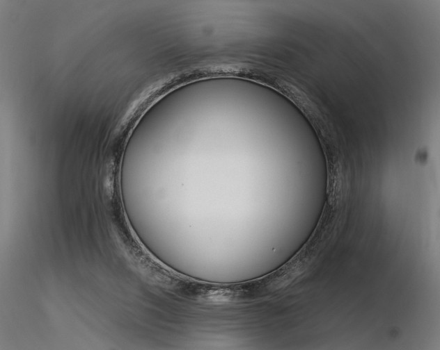 X0000116370064200912021019