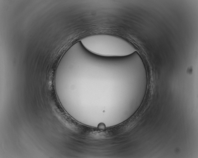 X0000116370065200912021019