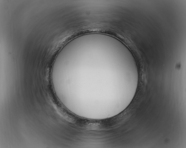 X0000116370066200912021019