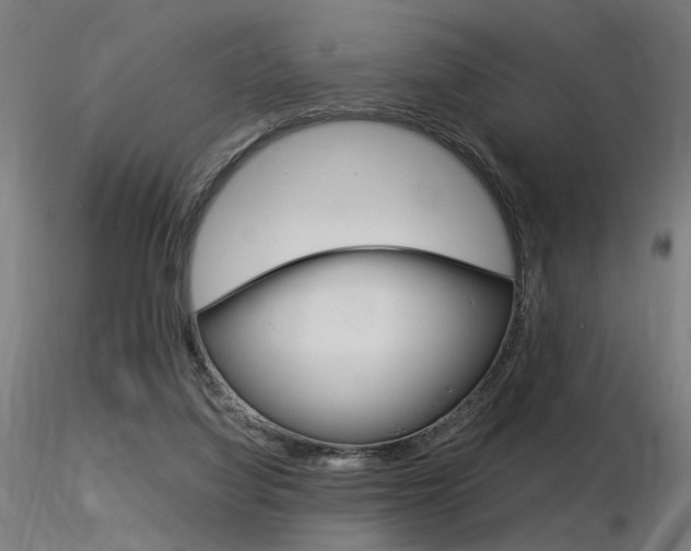X0000116370068200912021019