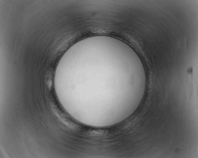 X0000116370069200912021019