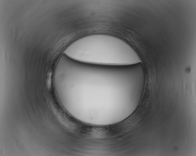 X0000116370070200912021019