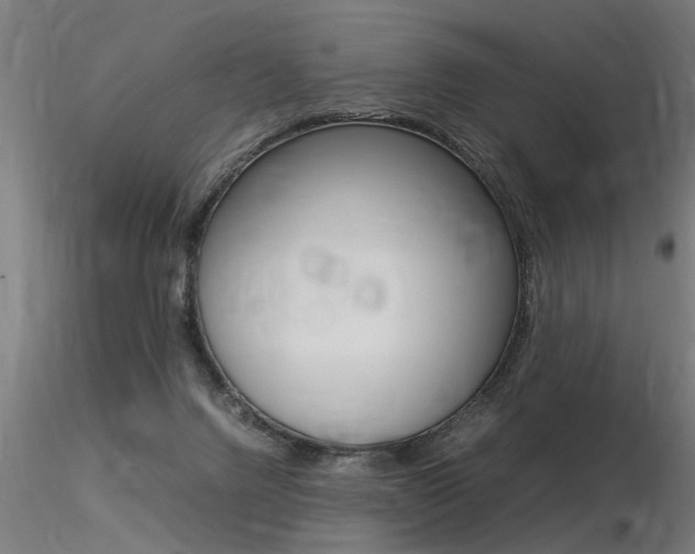 X0000116370072200912021019