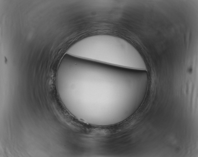 X0000116370073200912021019