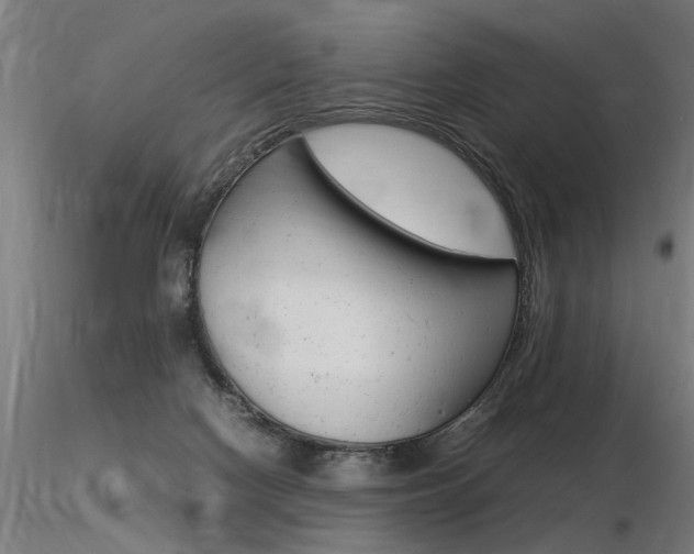 X0000116370074200912021019