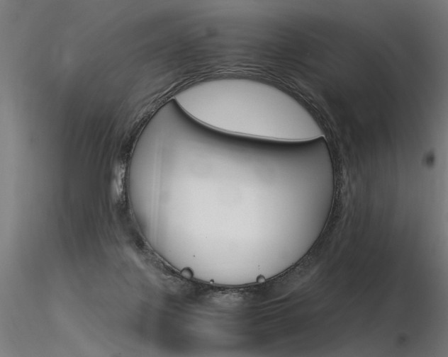 X0000116370075200912021019