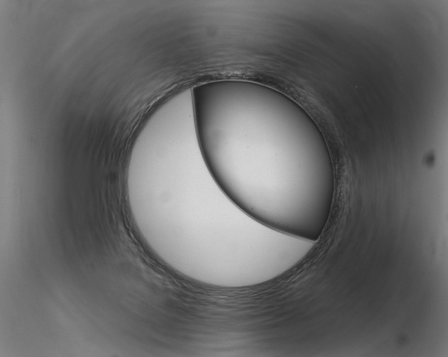 X0000116370076200912021019